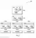 Fig. 03 - Abstraction layer and distribution scope for a logical switch router architecture