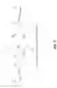 Fig. 03 - Periodical generation of network measurement data