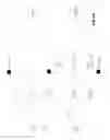 Fig. 07 - Periodical generation of network measurement data