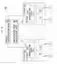 Fig. 09 - Data plane for processing function scalability