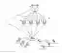 Fig. 01 - Method and system for managing flat and routed clients in a cluster using single type of VIPs