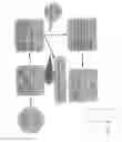 Fig. 05 - System, method and apparatus for fully precise hybrid security verification of mobile applications