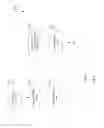 Fig. 13 - Remote cine viewing of medical images on a zero-client application