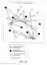Fig. 08 - Randomized peer-to-peer synchronization of shared content items