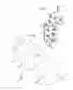 Fig. 03 - System and apparatus attaching to a mobile device for providing hands-free use thereof and carrying personal items thereon