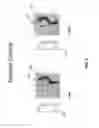 Fig. 04 - REMOTE CONTROL BETWEEN MOBILE COMMUNICATION DEVICES FOR CAPTURING IMAGES