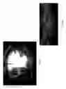 Fig. 22 - AUTOMATED PROCESSING OF PANORAMIC VIDEO CONTENT USING MACHINE LEARNING TECHNIQUES