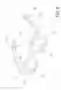 Fig. 13 - Eyeglasses Structure Enabling Image Enhancement