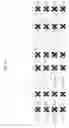 Fig. 15 - Methods, apparatuses, systems, and non-transitory computer readable media for improving and/or optimizing image compression quality