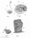 Fig. 02 - Self-fitting in-canal component and hearing assistance device