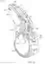 Fig. 18 - Light based hearing systems, apparatus, and methods