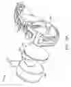 Fig. 19 - Light based hearing systems, apparatus, and methods