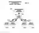 Fig. 13 - Mobile wireless communications system and method with hierarchical location determination