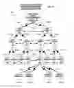 Fig. 17 - Mobile wireless communications system and method with hierarchical location determination