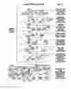Fig. 45 - Mobile wireless communications system and method with hierarchical location determination
