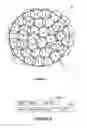Fig. 03 - Paging mechanism for wireless networks