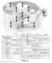 Fig. 02 - Optimized mechanism for paging transmission and reception