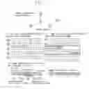 Fig. 04 - Resolution method for conflict of firing phase allocation in bio-inspired distributed wireless resource allocation method