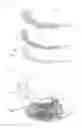 Fig. 06 - Induction heating cooking device