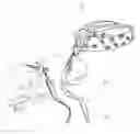 Fig. 01 - Lighting Device for Walking a Pet