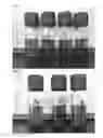 Fig. 02 - CLOUDINESS-INHIBITING AGENT FOR TEA BEVERAGE