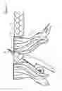 Fig. 09 - HAIR EXTENSION WEAVING DEVICE