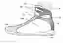 Fig. 01 - Human locomotion assisting shoe