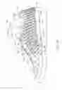 Fig. 02 - Upper having bonded differentially-oriented inner and outer reinforcing strips