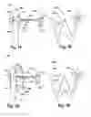 Fig. 02 - Illuminated wearable device