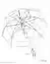 Fig. 07 - Mister equipped umbrella system