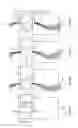 Fig. 04 - Hair coloring variegation device and method of use