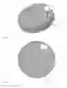 Fig. 03 - CIRCULAR DEVICE WITH A ROTATING MOVEMENT FOR NAIL VARNISH REMOVER
