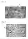 Fig. 03 - PRINTED MAKEUP PRODUCT AND MAKEUP METHOD