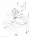 Fig. 02 - Hands free reading assembly