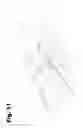 Fig. 11 - Shower base