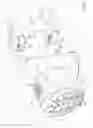Fig. 19 - Surface cleaning apparatus