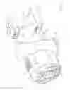 Fig. 19 - Hand carryable surface cleaning apparatus