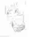 Fig. 19 - Hand carryable surface cleaning apparatus