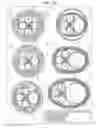 Fig. 13 - Bending device, control device, and medical instrument