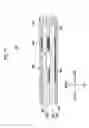 Fig. 12 - Surgical apparatus for endoscope