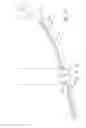 Fig. 12 - Endotracheal tube insertion device