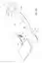 Fig. 20 - Endotracheal tube insertion device