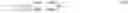 Fig. 03 - System and method for real-time montaging from live moving retina