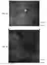 Fig. 06 - System and method for real-time montaging from live moving retina