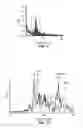 Fig. 06 - Frequency-multiplexed speech-sound stimuli for hierarchical neural characterization of speech processing