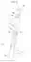 Fig. 07 - Cell isolation instrument