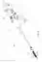 Fig. 33 - Powered surgical instrument including speed display
