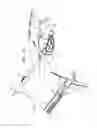 Fig. 04 - LEFT ATRIAL APPENDAGE CLOSURE