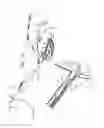 Fig. 06 - LEFT ATRIAL APPENDAGE CLOSURE