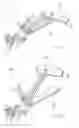 Fig. 07 - Soft tissue reconstruction